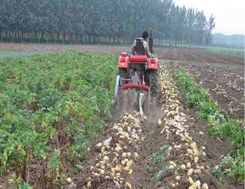 China Landwirtschaftliche Maschinen zwei Reihen-des kleinen landwirtschaftliche Maschinerie-kleinen Maßstabs fournisseur